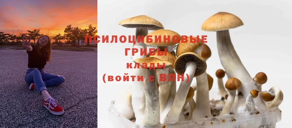гидра Армянск