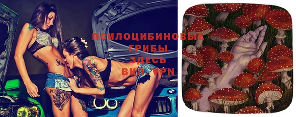гидра Армянск