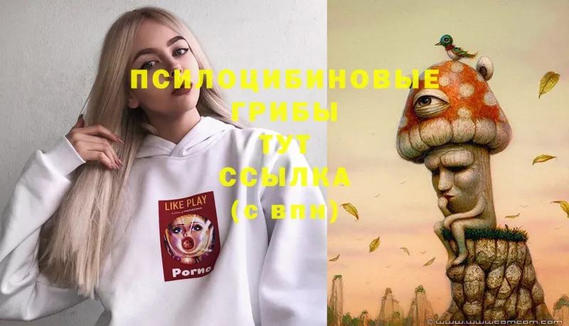 Галлюциногенные грибы GOLDEN TEACHER Белорецк