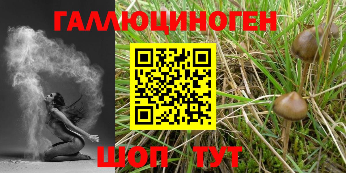 Белорецк  Псилоцибиновые грибы мухоморы  Вход с VPN 