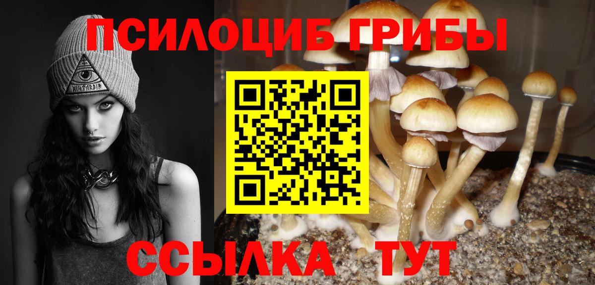 Галлюциногенные грибы Cubensis Белорецк