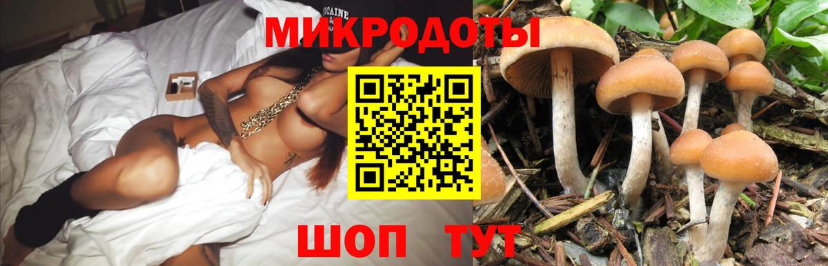 Галлюциногенные грибы Psilocybe  Галлюциногенные грибы Magic Shrooms  Белорецк 